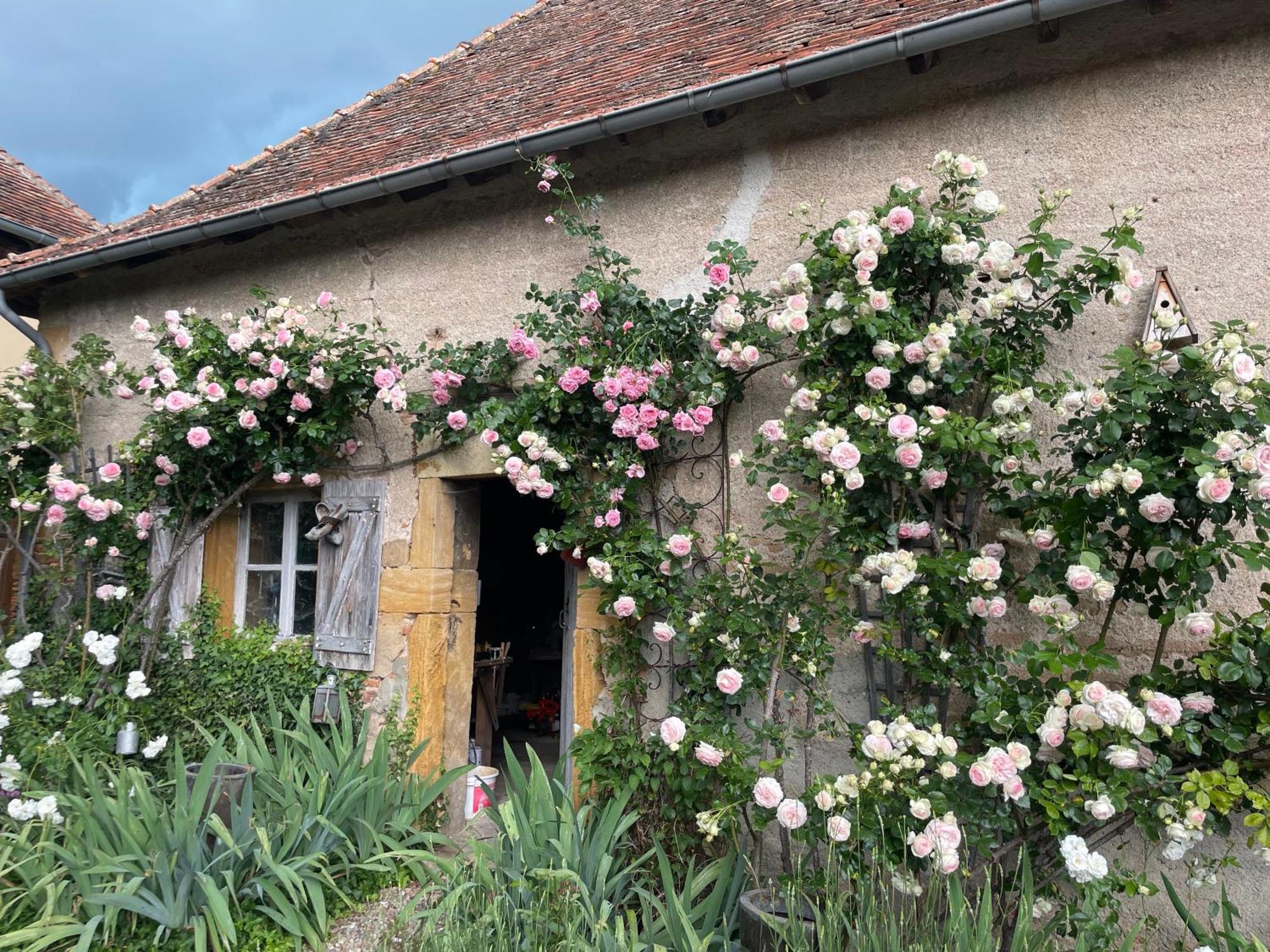 Les Jardins Des Soussilanges Bed and Breakfast Céron Buitenkant foto