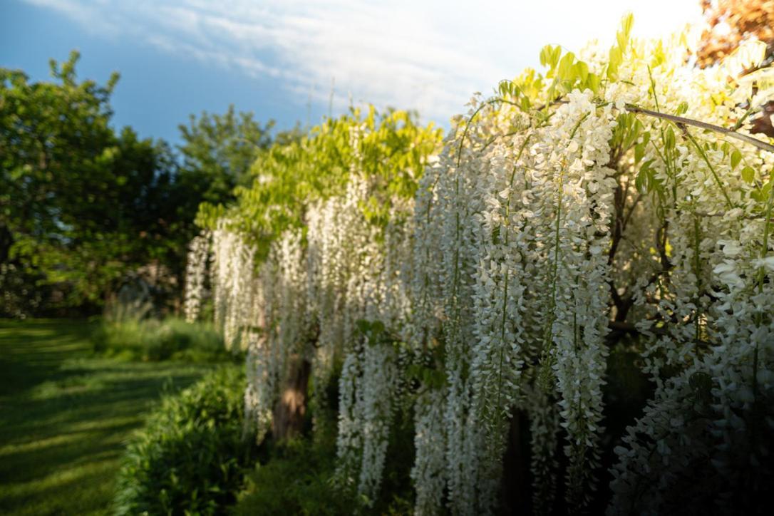 Les Jardins Des Soussilanges Bed and Breakfast Céron Buitenkant foto