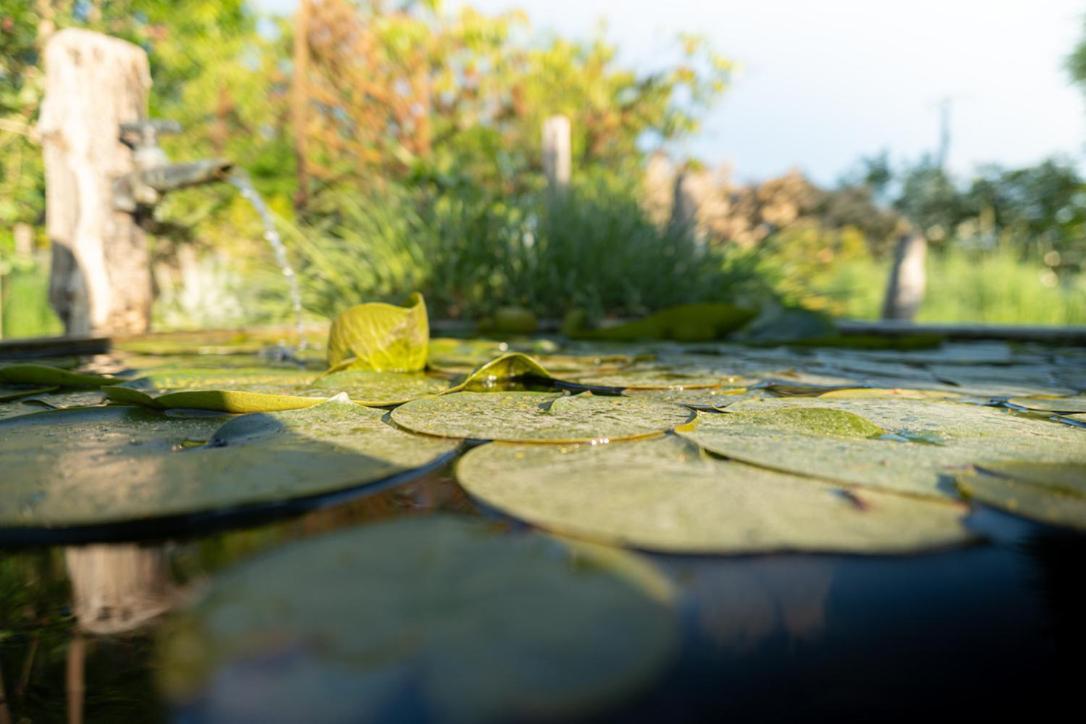 Les Jardins Des Soussilanges Bed and Breakfast Céron Buitenkant foto